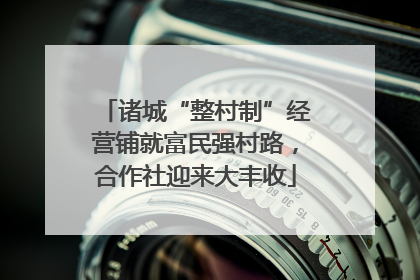 诸城“整村制”经营铺就富民强村路，合作社迎来大丰收
