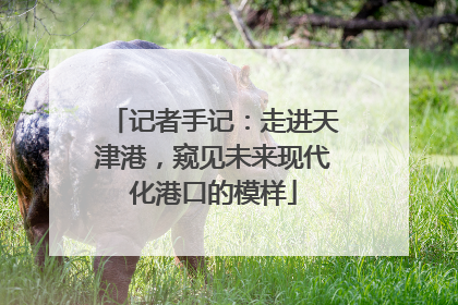 记者手记：走进天津港，窥见未来现代化港口的模样