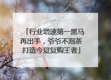 行业增速第一黑马再出手，爷爷不泡茶打造今夏复购王者