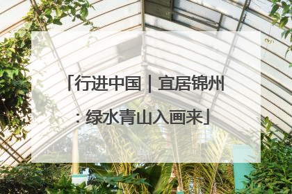 行进中国｜宜居锦州：绿水青山入画来