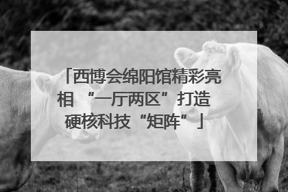西博会绵阳馆精彩亮相 “一厅两区”打造硬核科技“矩阵”