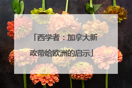西学者：加拿大新政带给欧洲的启示