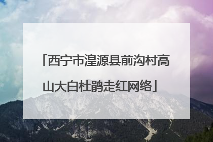 西宁市湟源县前沟村高山大白杜鹃走红网络