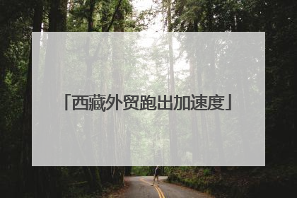 西藏外贸跑出加速度