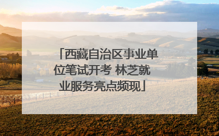 西藏自治区事业单位笔试开考 林芝就业服务亮点频现