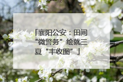 襄阳公安：田间“微警务”绘就三夏“丰收图”