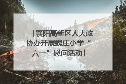 襄阳高新区人大政协办开展魏庄小学“六一”慰问活动
