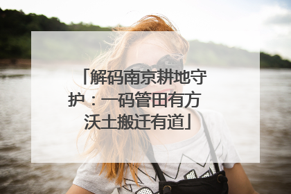 解码南京耕地守护：一码管田有方 沃土搬迁有道