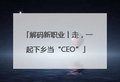 解码新职业丨走，一起下乡当“CEO”