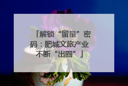 解锁“留量”密码：肥城文旅产业不断“出圈”