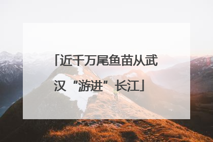 近千万尾鱼苗从武汉“游进”长江