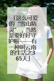 这么可爱的“雪山精灵”，当然是要好好守护啦——有一种叫云南的生活之365天