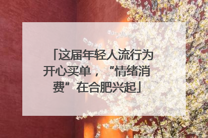 这届年轻人流行为开心买单，“情绪消费”在合肥兴起