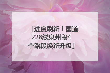 进度刷新！国道228线泉州段4个路段焕新升级