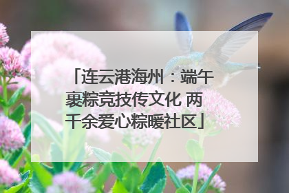 连云港海州：端午裹粽竞技传文化 两千余爱心粽暖社区