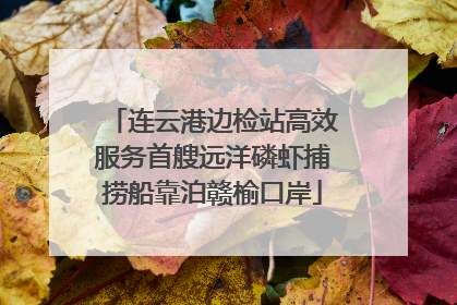 连云港边检站高效服务首艘远洋磷虾捕捞船靠泊赣榆口岸