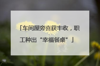 车间屋旁喜获丰收，职工种出“幸福餐桌”