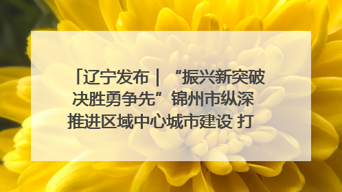 辽宁发布｜“振兴新突破 决胜勇争先”锦州市纵深推进区域中心城市建设 打造高质量发展新增长极