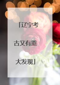 辽宁考古又有重大发现