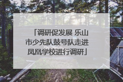 调研促发展 乐山市少先队鼓号队走进凤凰学校进行调研