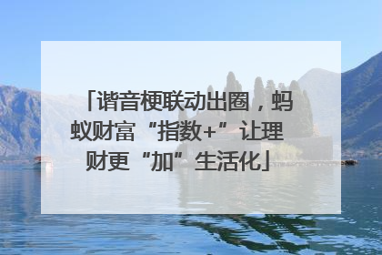 谐音梗联动出圈，蚂蚁财富“指数+”让理财更“加”生活化