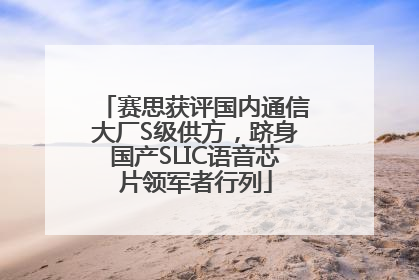 赛思获评国内通信大厂S级供方，跻身国产SLIC语音芯片领军者行列