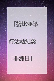 赞比亚举行活动纪念非洲日