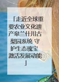 走近全球重要农业文化遗产皋兰什川古梨园系统 守护生态瑰宝 激活发展动能