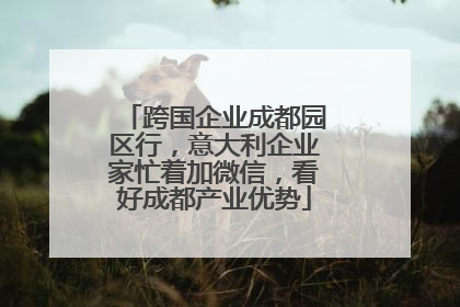 跨国企业成都园区行，意大利企业家忙着加微信，看好成都产业优势