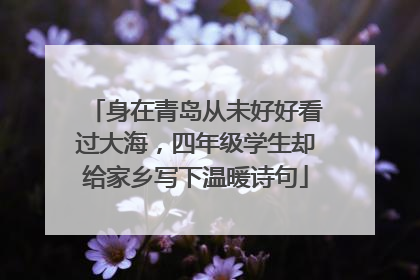 身在青岛从未好好看过大海，四年级学生却给家乡写下温暖诗句