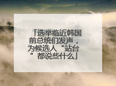 选举临近韩国前总统们发声，为候选人“站台”都说些什么