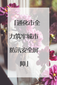 通化市全力筑牢城市防汛安全屏障