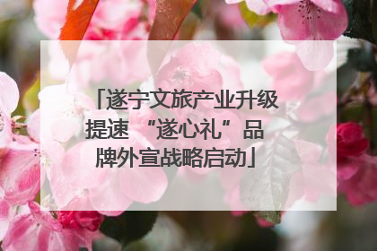 遂宁文旅产业升级提速 “遂心礼”品牌外宣战略启动