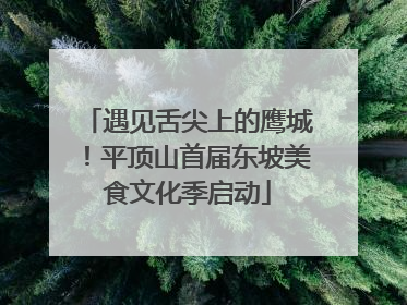 遇见舌尖上的鹰城！平顶山首届东坡美食文化季启动