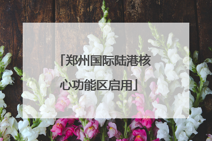 郑州国际陆港核心功能区启用