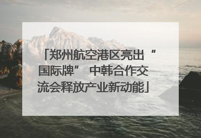 郑州航空港区亮出“国际牌” 中韩合作交流会释放产业新动能