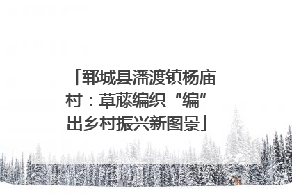 郓城县潘渡镇杨庙村：草藤编织“编”出乡村振兴新图景