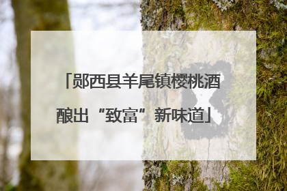 郧西县羊尾镇樱桃酒酿出“致富”新味道