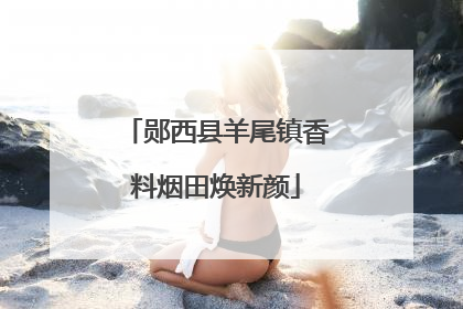 郧西县羊尾镇香料烟田焕新颜