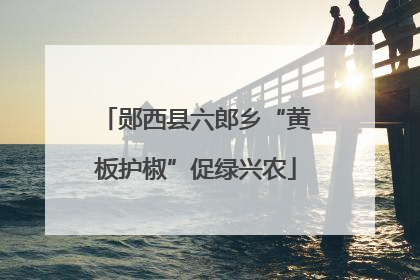 郧西县六郎乡“黄板护椒”促绿兴农