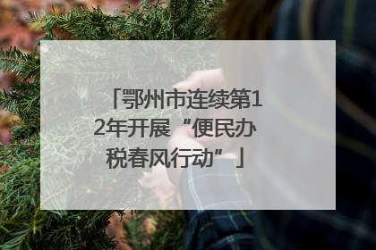 鄂州市连续第12年开展“便民办税春风行动”