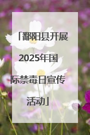 鄱阳县开展2025年国际禁毒日宣传活动
