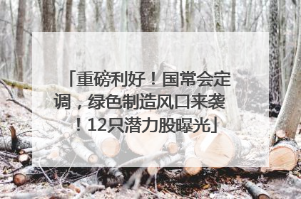 重磅利好！国常会定调，绿色制造风口来袭！12只潜力股曝光
