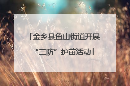 金乡县鱼山街道开展“三防”护苗活动