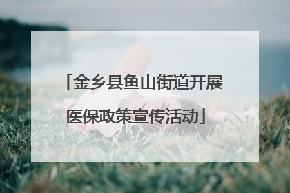 金乡县鱼山街道开展医保政策宣传活动