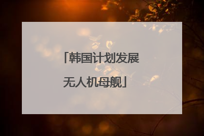 韩国计划发展无人机母舰