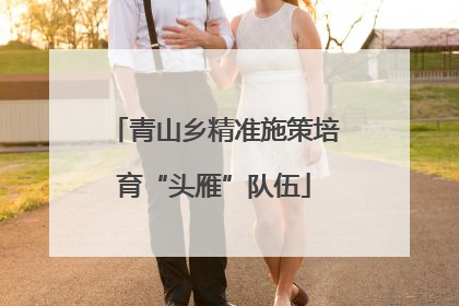 青山乡精准施策培育“头雁”队伍