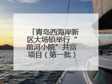 青岛西海岸新区大场镇举行“前河小院”共富项目（第一批）集中开业仪式