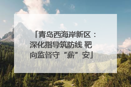 青岛西海岸新区：深化指导筑防线 靶向监督守“薪”安