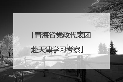 青海省党政代表团赴天津学习考察
